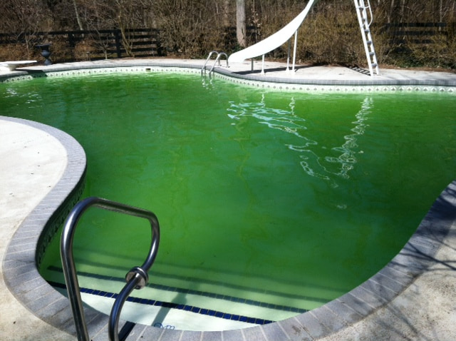 inground pool cleaning before photo